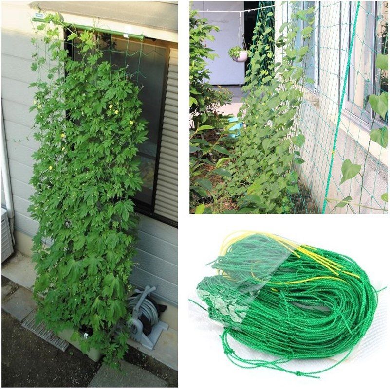 Vegetables Flowers Plants Climbing Net